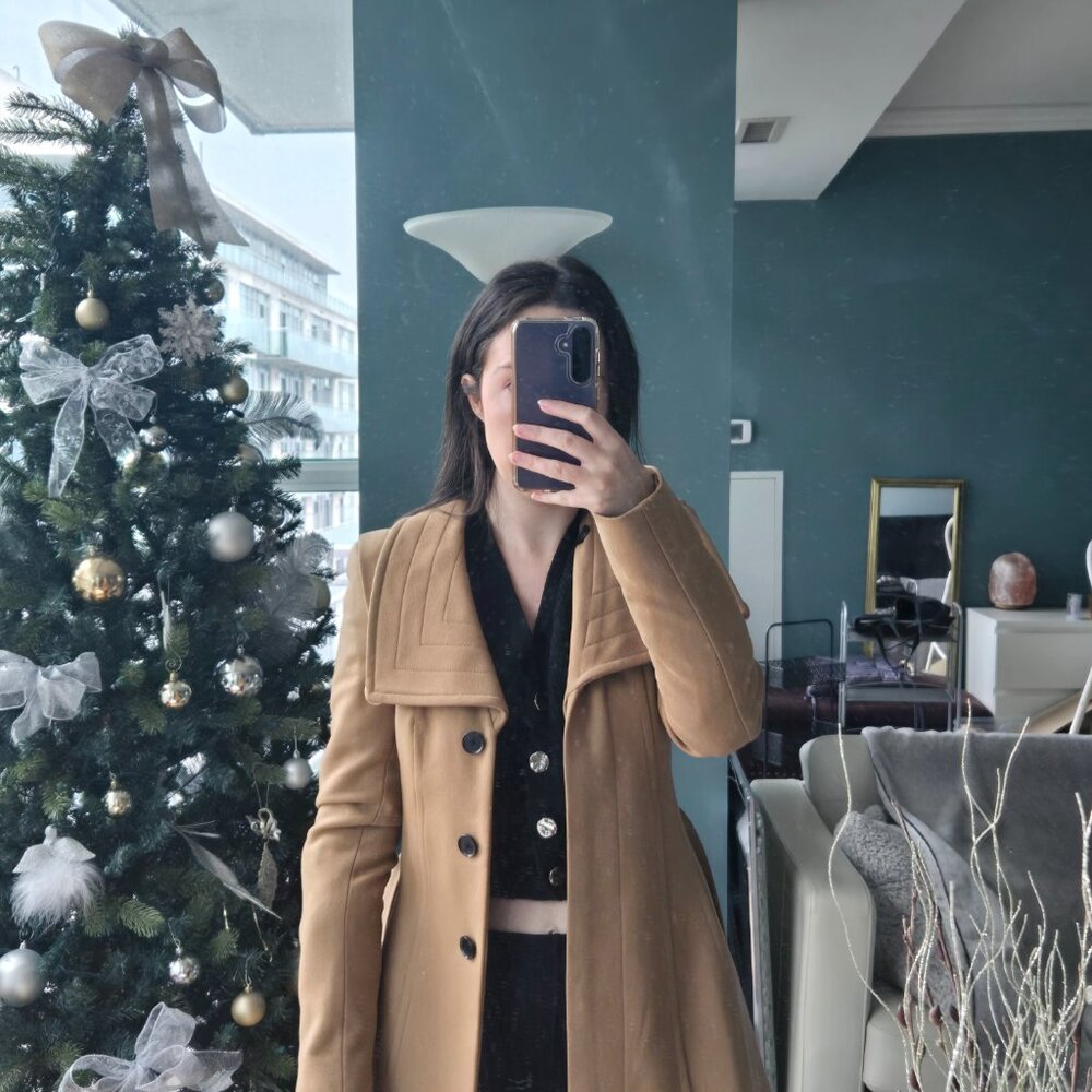 Aritzia Wool Coat - Picture 2 of 5